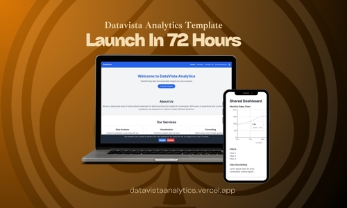 DataVista Analytics Image